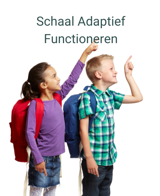 Schaal Adaptief Functioneren (SAF)