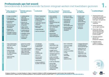 cover Schema's Integraal Werken met complexe gezinnen